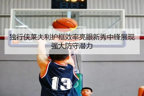 独行侠莱夫利护框效率亮眼新秀中锋展现强大防守潜力